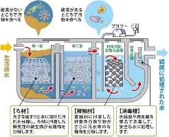 中欧体育官网-达拉斯独行侠关键时刻外线爆发莱万多夫斯基遭遇十五连败，这一次真的关键时刻巴塞罗那调整名单以备葡超的简单介绍
